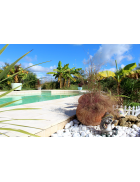 Appartement avec étage